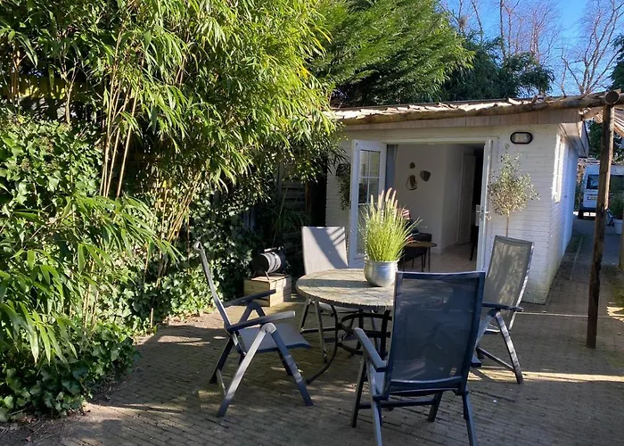 Studio Lief Bergen Binnen, Bij Bos Duin En Dorp